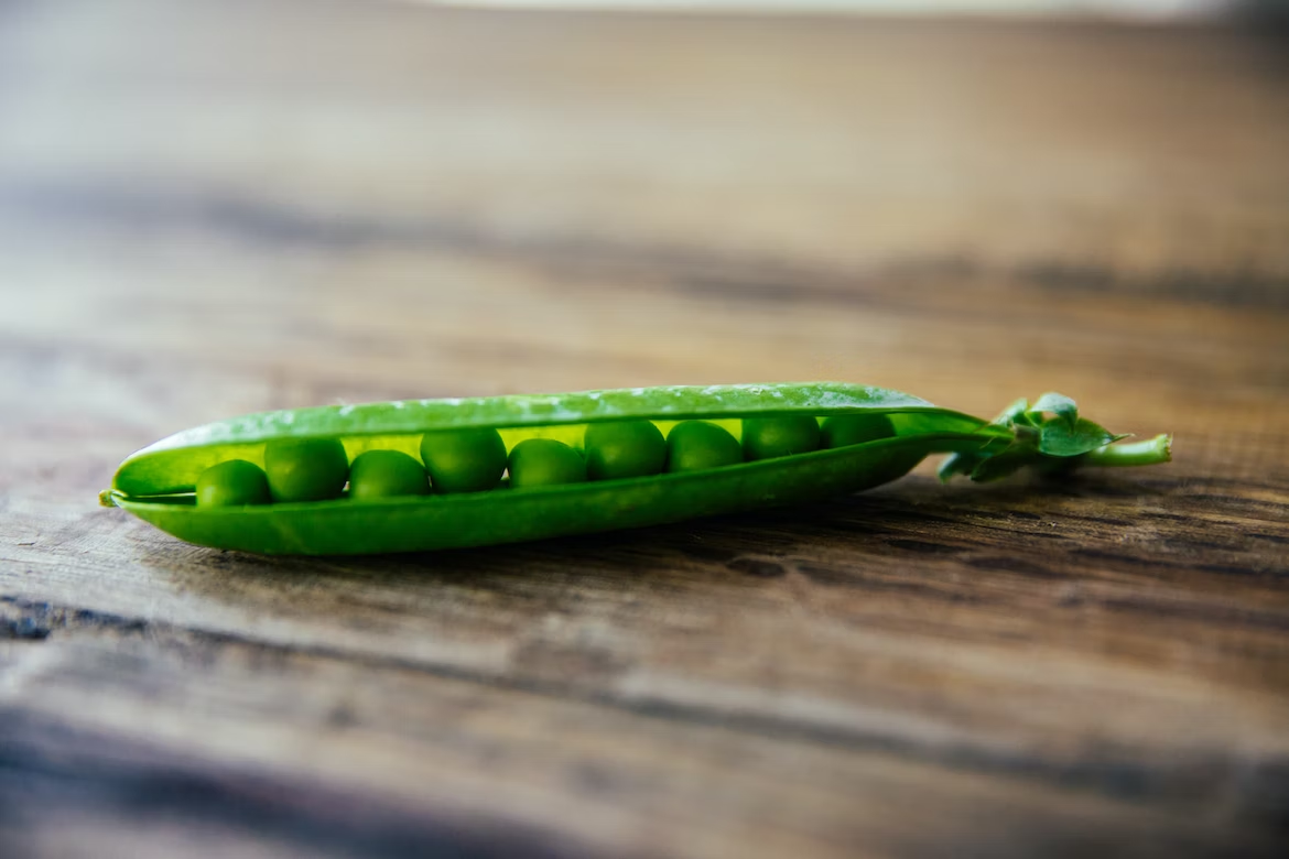 What Are Pea Protein Shakes? (And Why You Should Try Them)